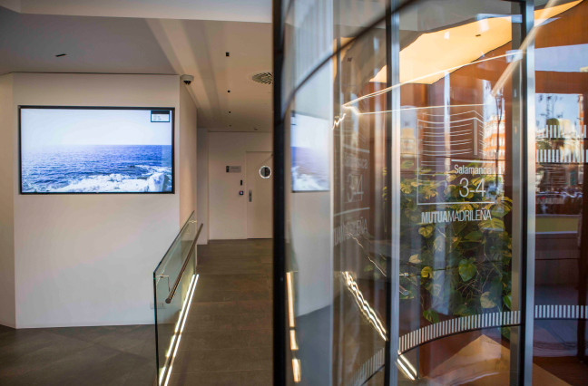 imagen 1 de galeria growth
